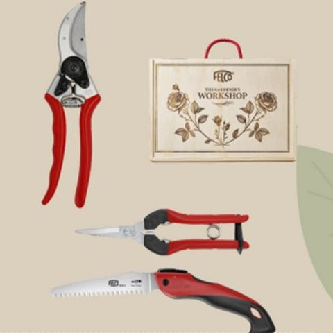 Coffret d'outils de taille et d'élagage FELCO 935