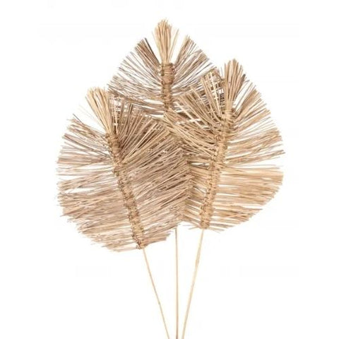 Grosse feuille couleur naturelle
