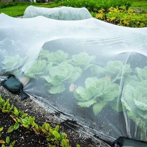 Filet de protection anti-insectes 25gr-BIOPLUS-protection jardin-4.2x7.62m