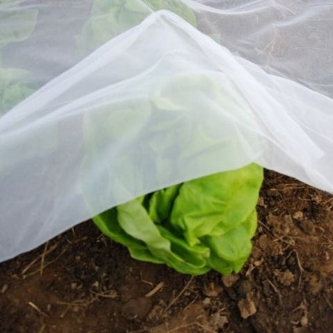 Filet de protection anti-insectes 25gr-BIOPLUS-protection jardin-4.2x7.62m