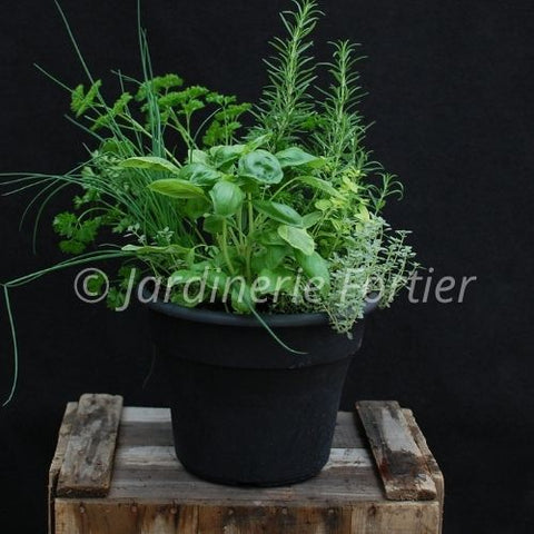 Mélange de fines herbes