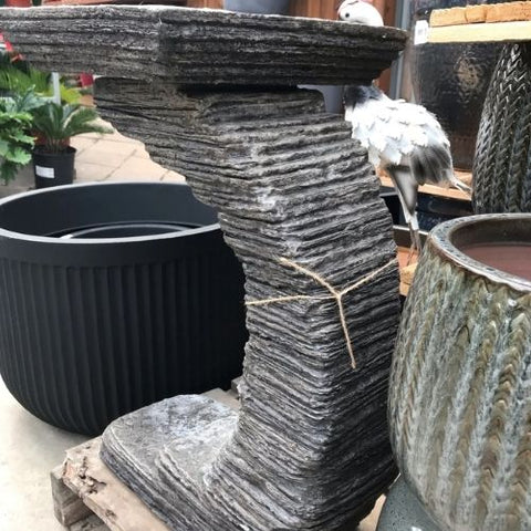 Bain d'oiseau gris foncé