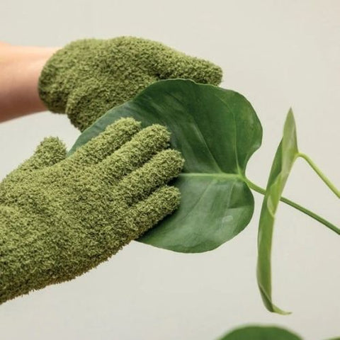 Gants de nettoyage pour plante