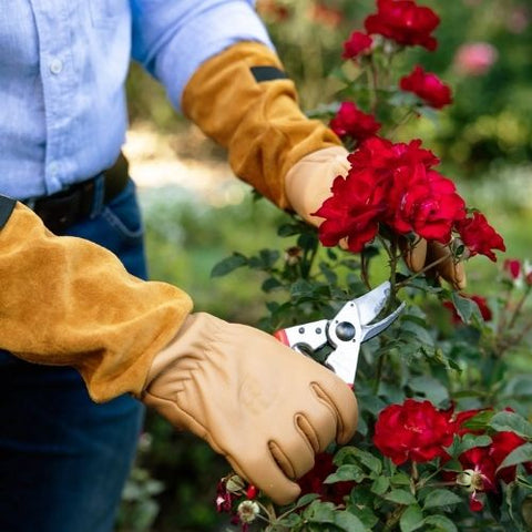 Gants en cuir pour rosiers FELCO 705