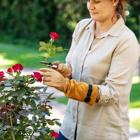 Gants en cuir pour rosiers FELCO 705