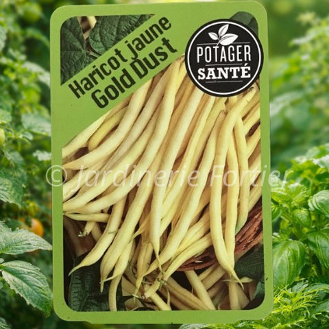Haricot Jaune / Potager Santé