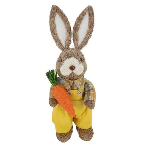 Lapin garçon avec carotte
