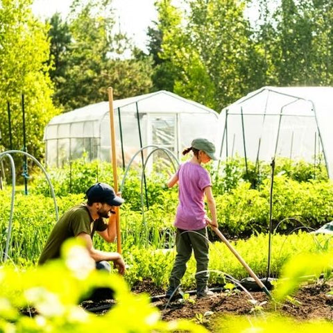 Livre "Le Potager abondant" Dany Bouchard