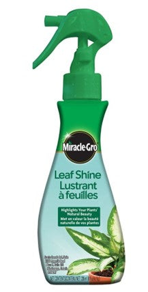 Lustrant à feuilles Miracle-Gro