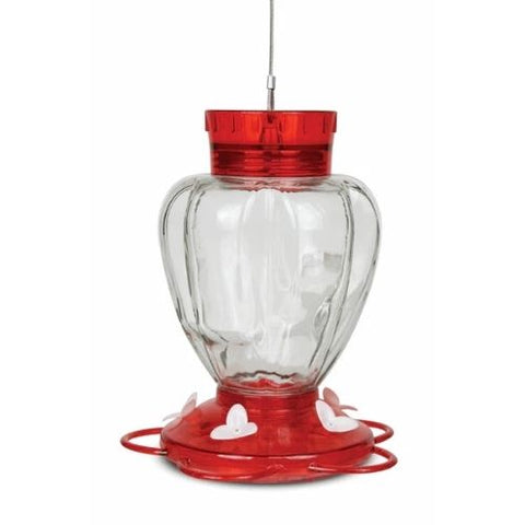 Mangeoire à colibri en verre