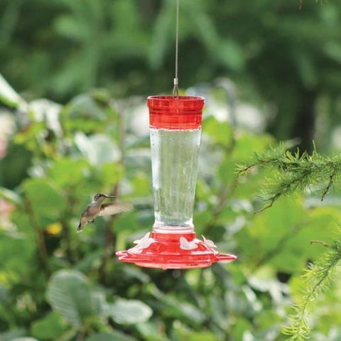 Mangeoire pour Colibris avec Réservoir