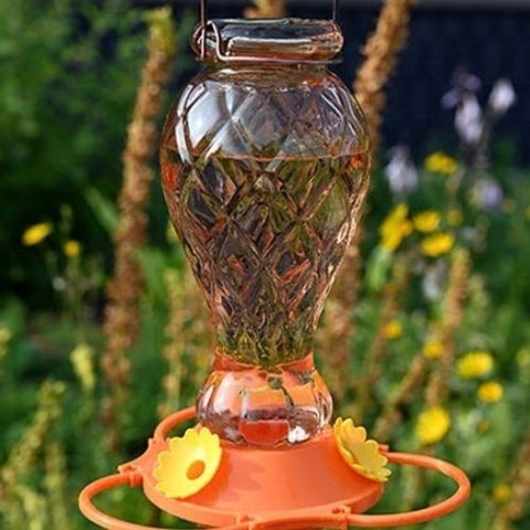 Mangeoire en Verre Orange Jewel pour Orioles