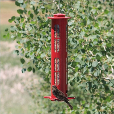 Mangeoire d'oiseaux anti-écureuil