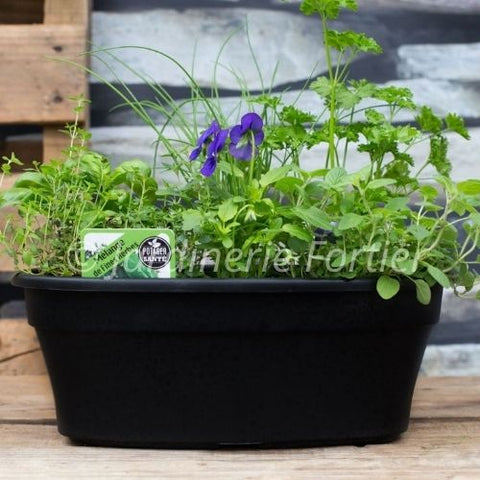 Mélange de fines herbes