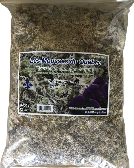 Mousse de sphaigne