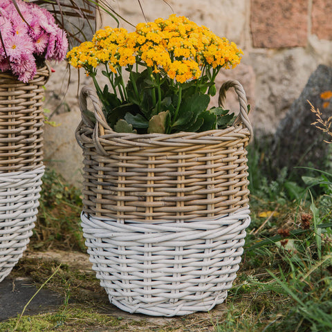 Panier en osier à fond blanc
