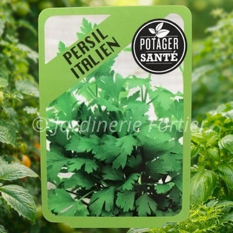 Persil Italien / Potager Santé