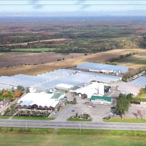 Visite de serre de production (photo de nos serres + drone)