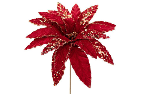 Tige de poinsettia rouge