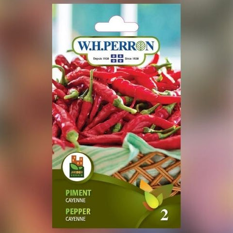 Semence de "Piment Cayenne" non traité