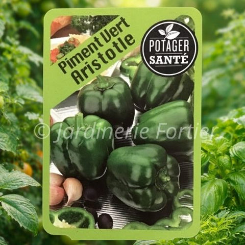 Piment Aristotle / Potager Santé