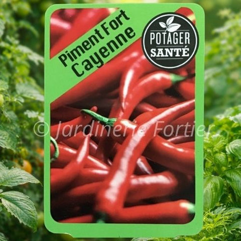 Piment Cayenne / Potager Santé