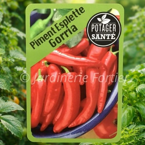 Piment Espelette Gorria / Potager Santé
