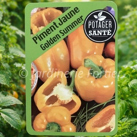Piment jaune / Potager Santé