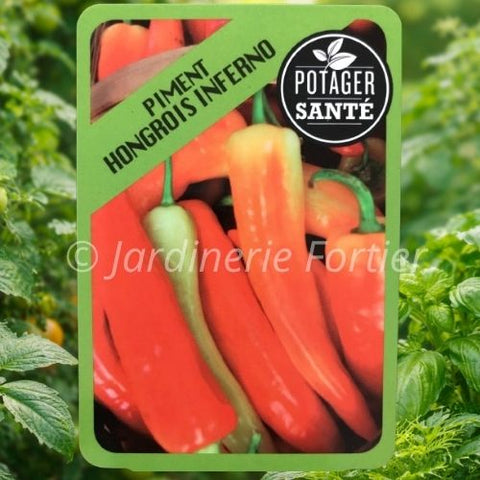 Piment Hongrois inferno / Potager Santé