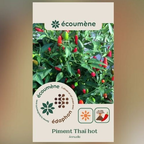 Plant de piment 'Thai Hot' – Écoumène