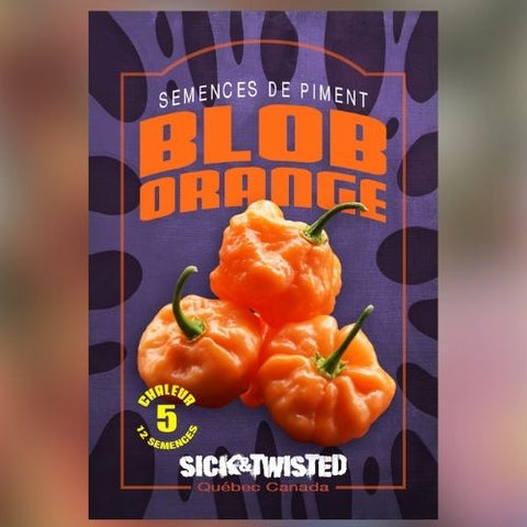 Semence de "Piment Fort Blob Orange"