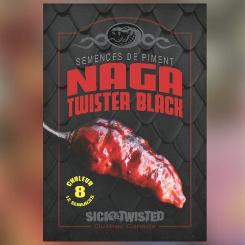 Semence de "Piment Fort Naga Twister Black"