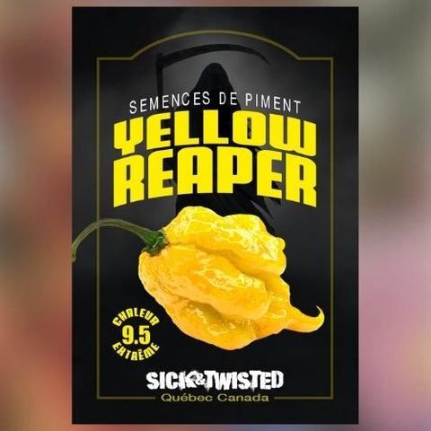 Semence de "Piment Fort Carolina yellow Reaper"