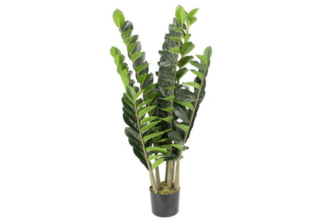 Plante artificielle ZZ