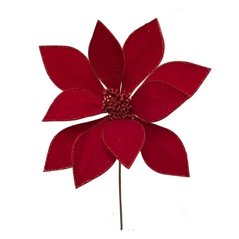 Tige de poinsettia Valentina