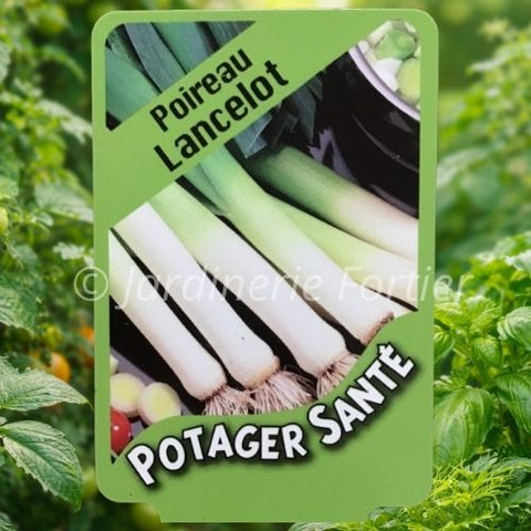 Poireau / Potager Santé