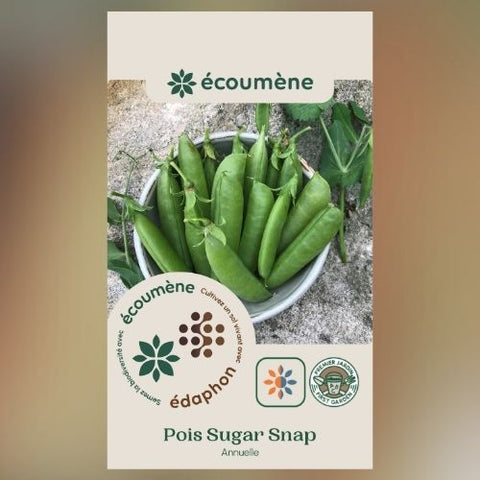 Plant de pois 'Sugar Snap' – Écoumène