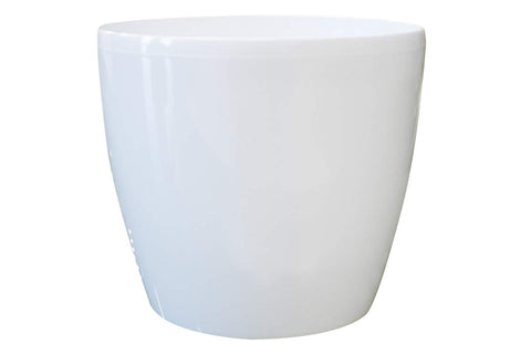 Pot Magnolia blanc lustré