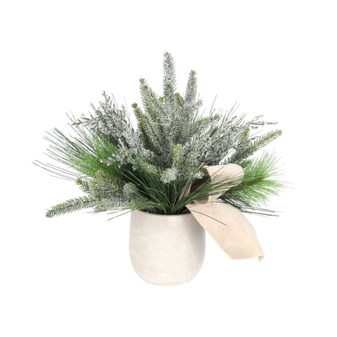 Arrangement de branches de pin givré en pot crème