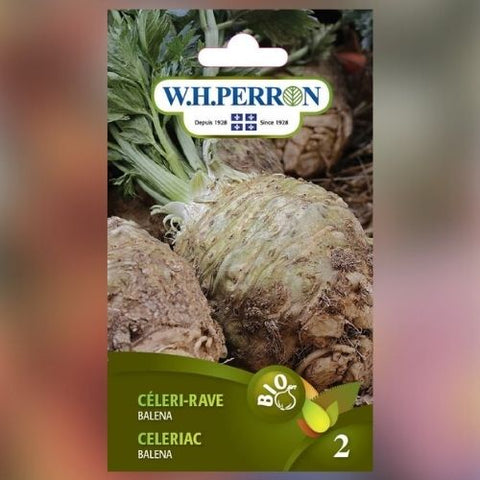 Semence de "Céleri-rave" Biologique