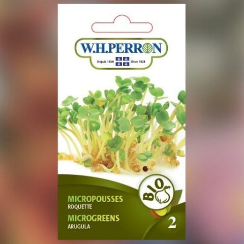Semence de "Germe de roquette" Biologique
