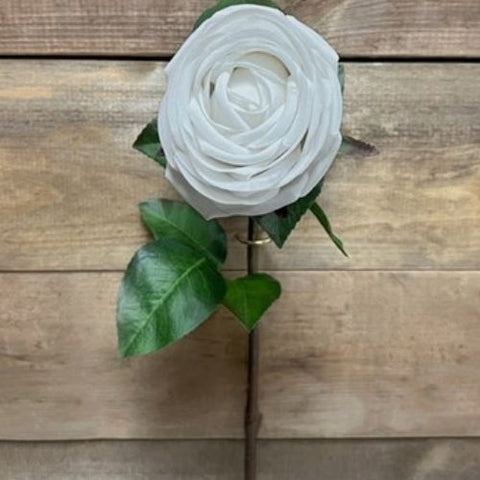 Tige de rose blanche