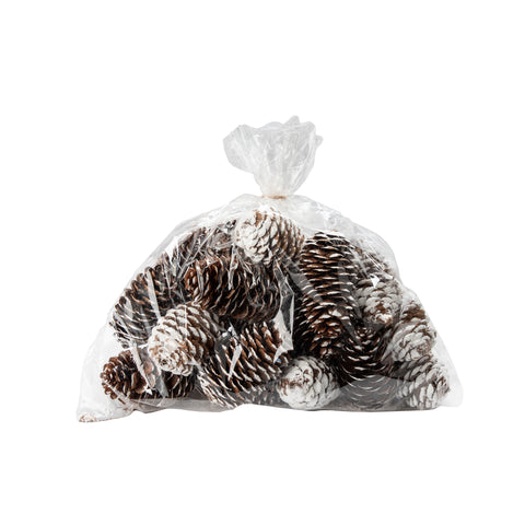 Sac de cocottes de pin enneigées