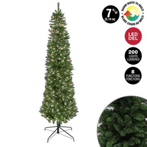 Sapin étroit lumineux avec lumières blanc chaud et multicolore
