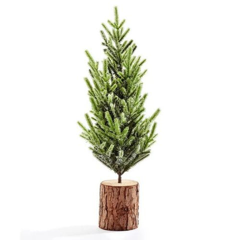 Petit sapin sur tronc d'arbre