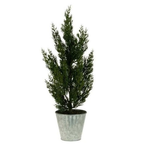 Arbre de Noël en pot