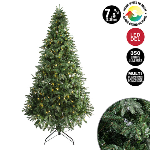 Sapin de Noël lumineux