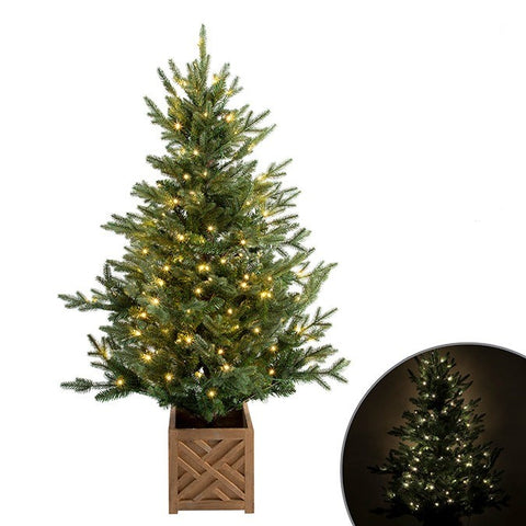 Sapin vert lumineux en pot en bois