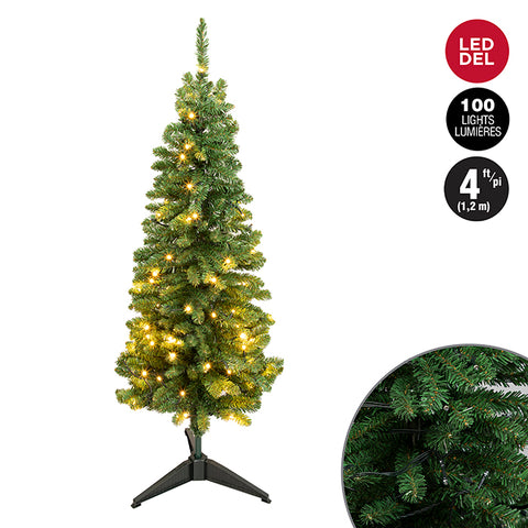 Sapin lumineux étroit