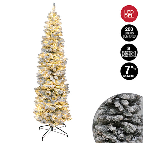 Sapin de Noël étroit lumineux